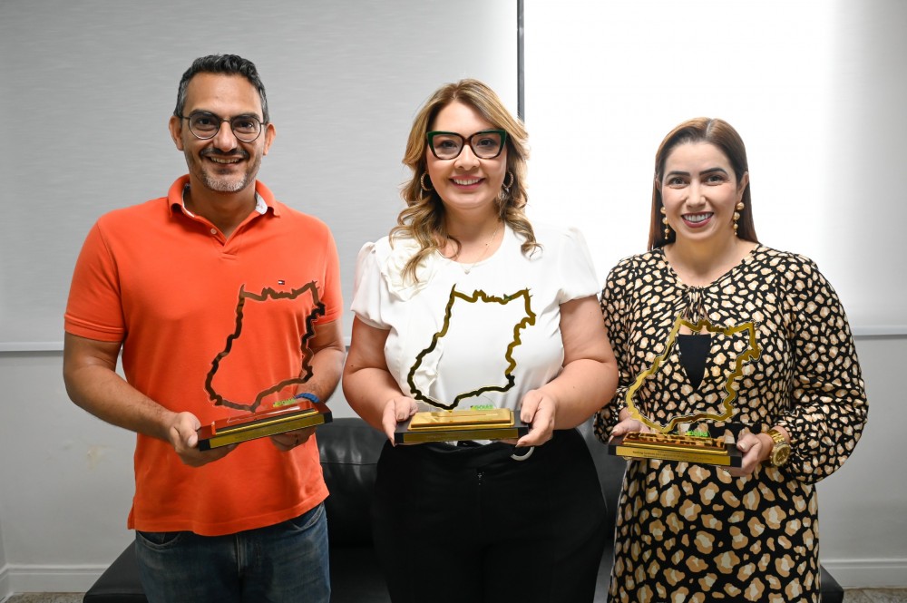 Vice-presidente da Goinfra , Eliane Simonini Baltazar, e representantes da Diretoria de Projetos de Obras Rodoviária