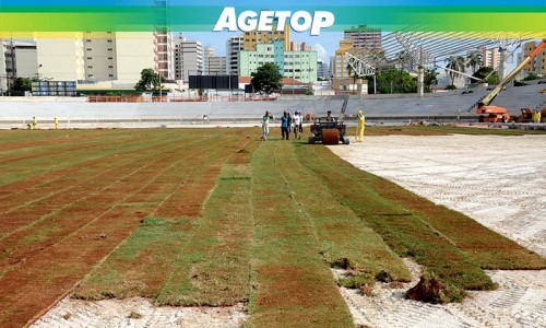 Gramado do Estádio Olímpico do Centro de Excelência do Esporte