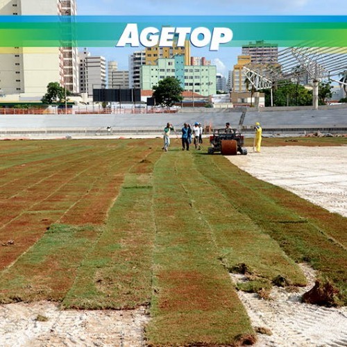 Gramado do Estádio Olímpico do Centro de Excelência do Esporte