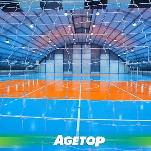 Ginásio da Eseffego