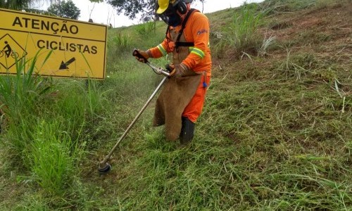 Serviços de roçagem estão em andamento nas rodovias goianas