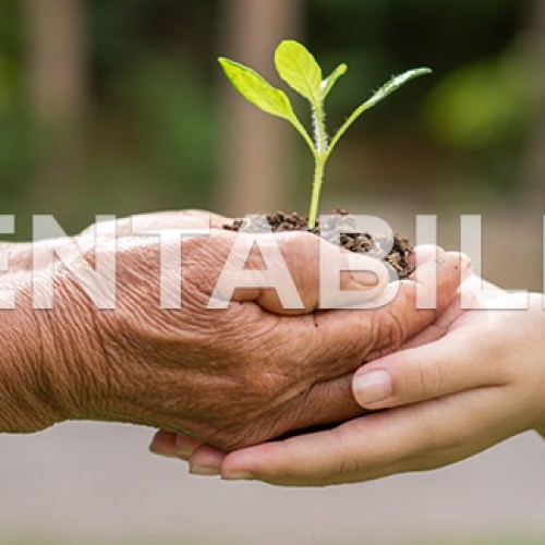 SUSTENTABILIDADE CAPA