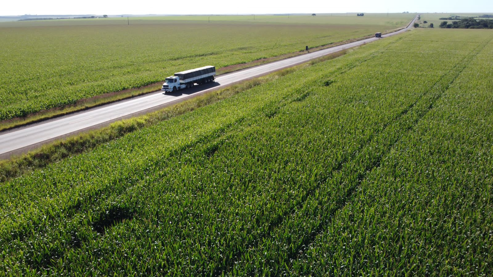 Governo de Goiás entrega pavimentação da Estrada Velha de Caiapônia e autoriza obras na GO-180