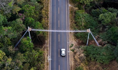 Goinfra constrói passagens de fauna na região da Chapada dos Veadeiros
